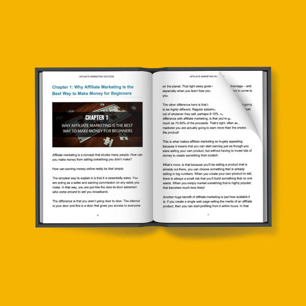 Affiliate Marketing Success