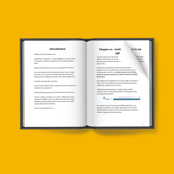 Make first $100 on the Web book