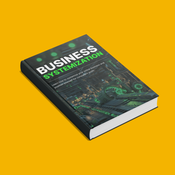 Business Systemization book