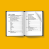 Business Systemization book