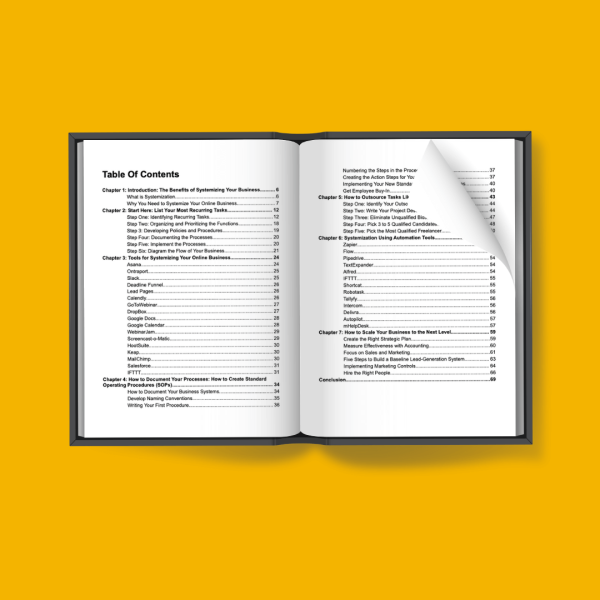 Business Systemization book