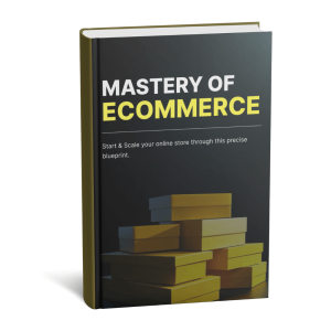 Mastery of Ecommerce