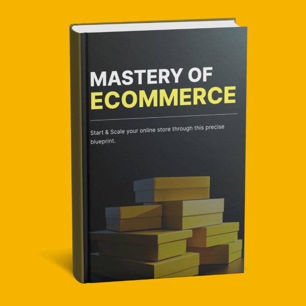 Mastery of Ecommerce